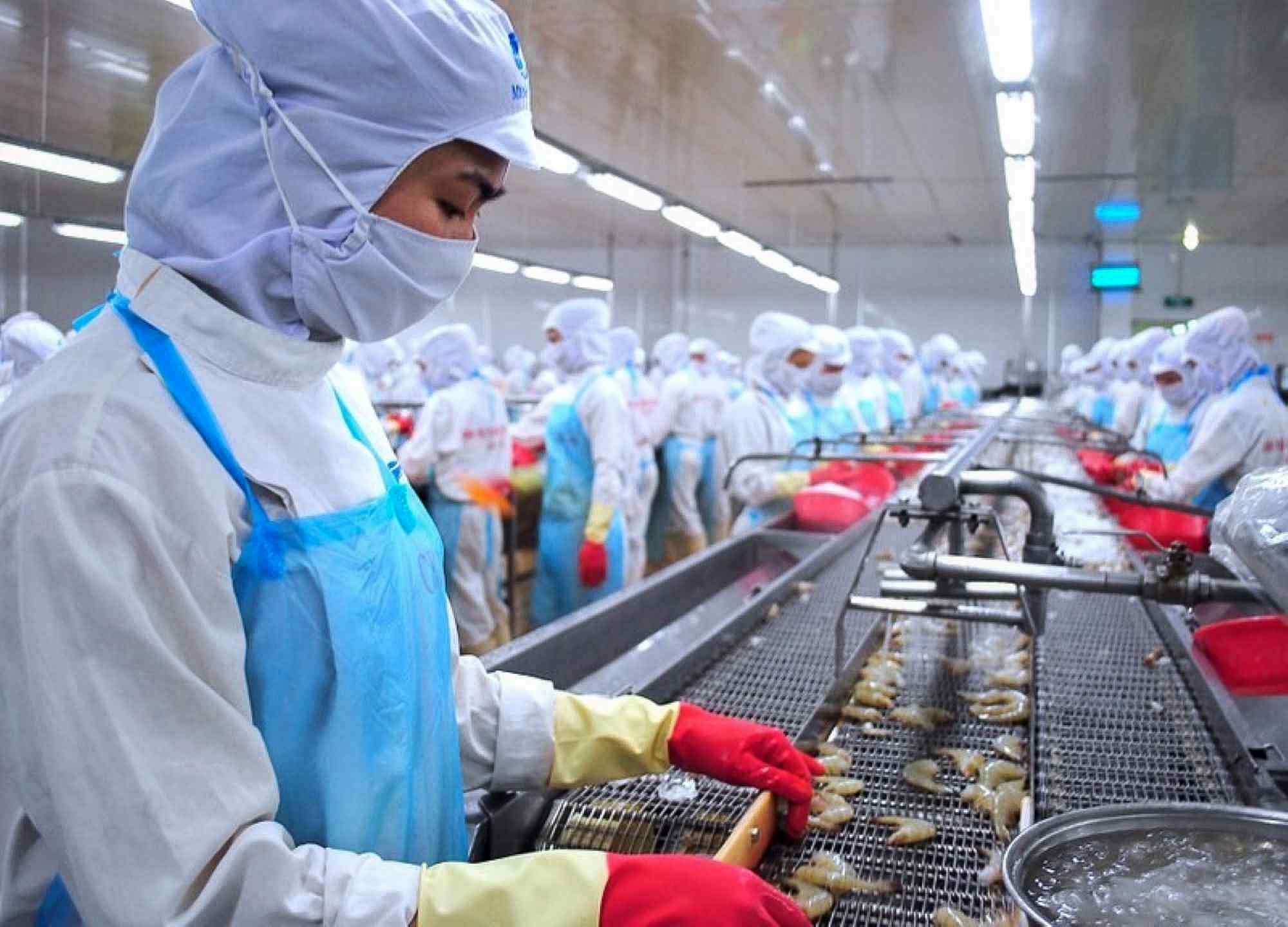 As of October 2024, Vietnam's seafood export turnover reached 8.33 billion USD. Photo: Luc Tung