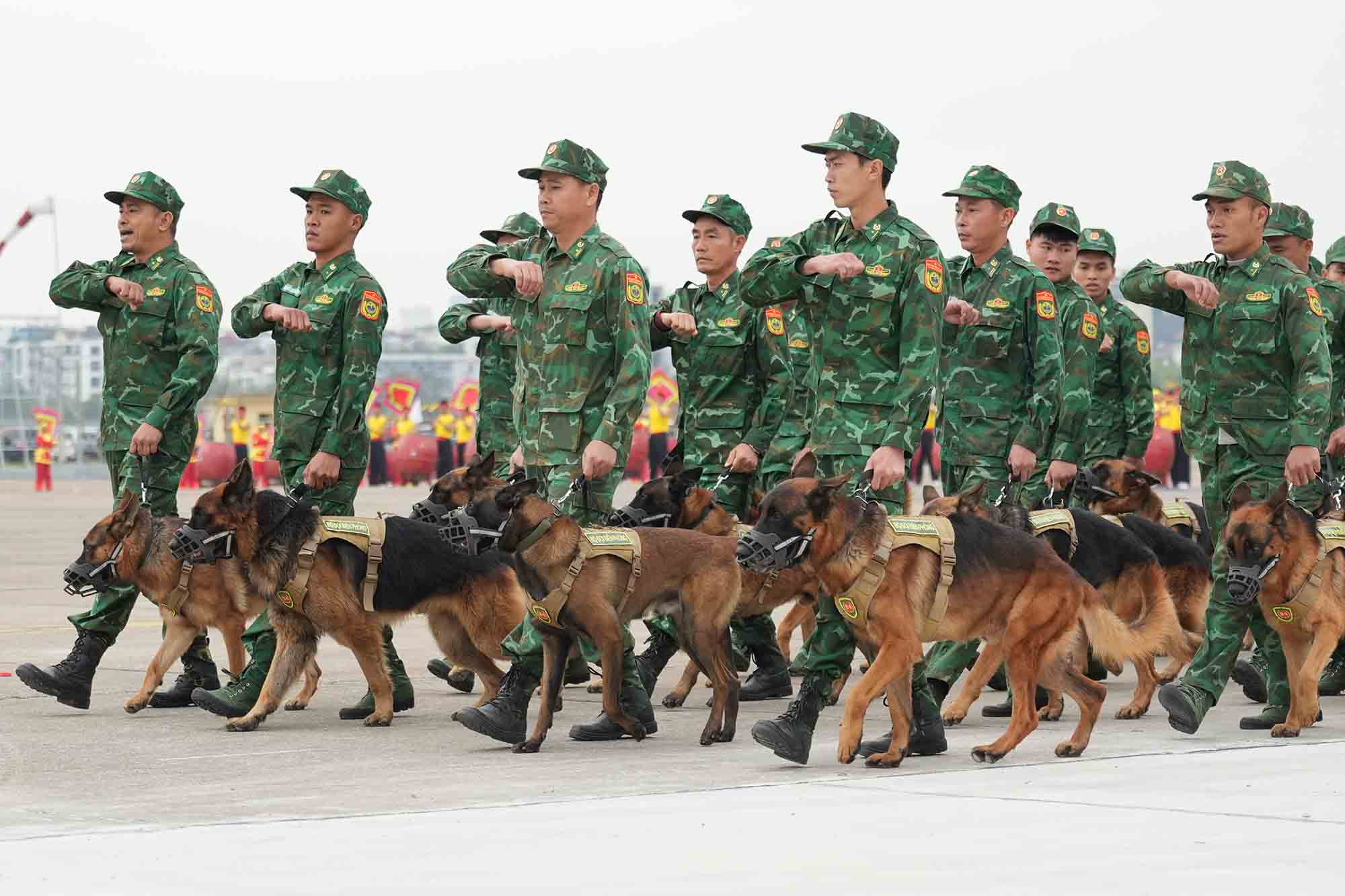 Trien lam Quoc phong quoc te Viet Nam 2024 ghi dau lan dau tien luc luong quan khuyen tham gia trinh dien ngoai nhiem vu bao ve an ninh cho su kien. 145 can bo, huan luyen vien va 115 cho nghiep vu cua truong Trung cap 24 Bien phong thuoc Bo Tu lenh Bien phong duoc tuyen chon bieu dien. Anh: Huu Chanh