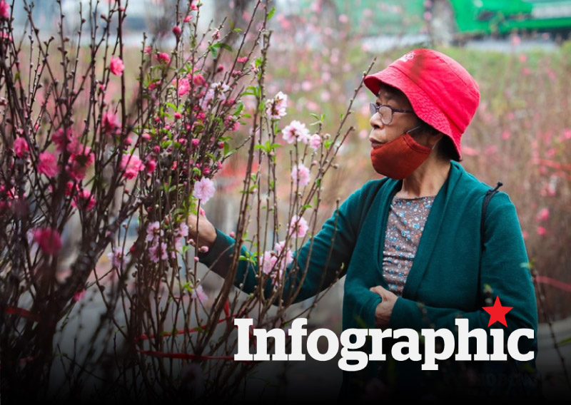 Lịch nghỉ Tết Nguyên đán Ất Tỵ chính thức cho người lao động