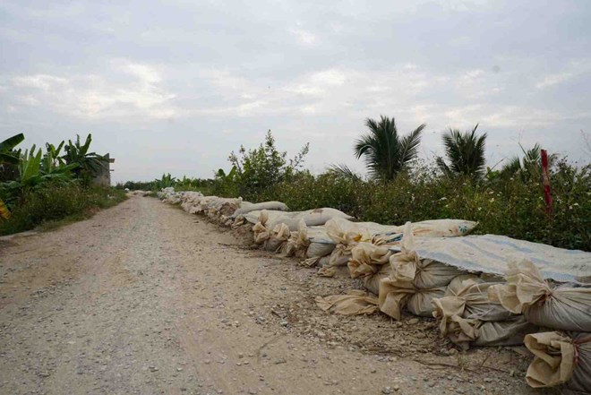 Tuyến đê từng bị vỡ đang xuống cấp nghiêm trọng ở Hải Dương