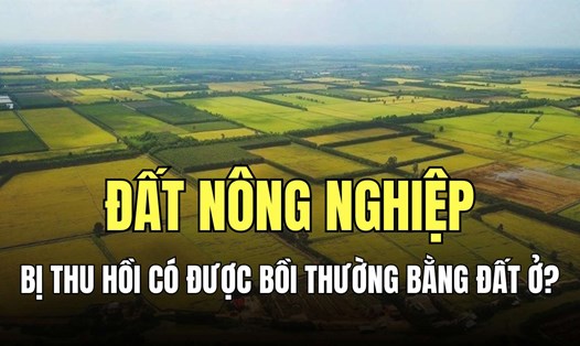 Diện tích đất nông nghiệp được bồi thường bao gồm diện tích trong hạn mức quy định và diện tích đất do được nhận thừa kế. Đồ họa: Minh Thương