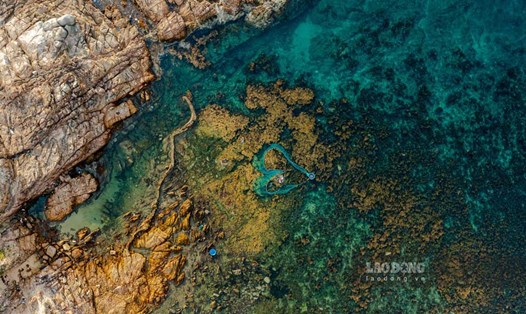 Hòn Khô tại làng chài Nhơn Hải (TP Quy Nhơn, Bình Định) là 1 trong những điểm đến lý tưởng với du khách. Ảnh: Dũng Nhân