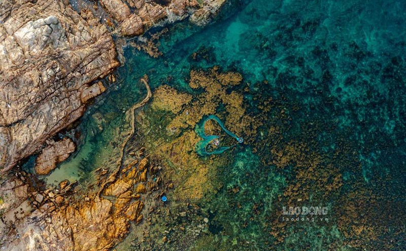 Hon Kho in Nhon Hai fishing village (Quy Nhon city, Binh Dinh) is one of the ideal destinations for tourists. Photo: Dung Nhan