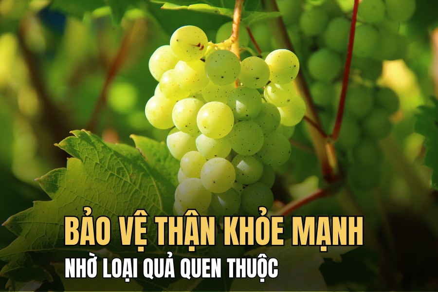 Compounds found in grape seeds and skins help repair kidney damage. Graphics: Hoai Lan