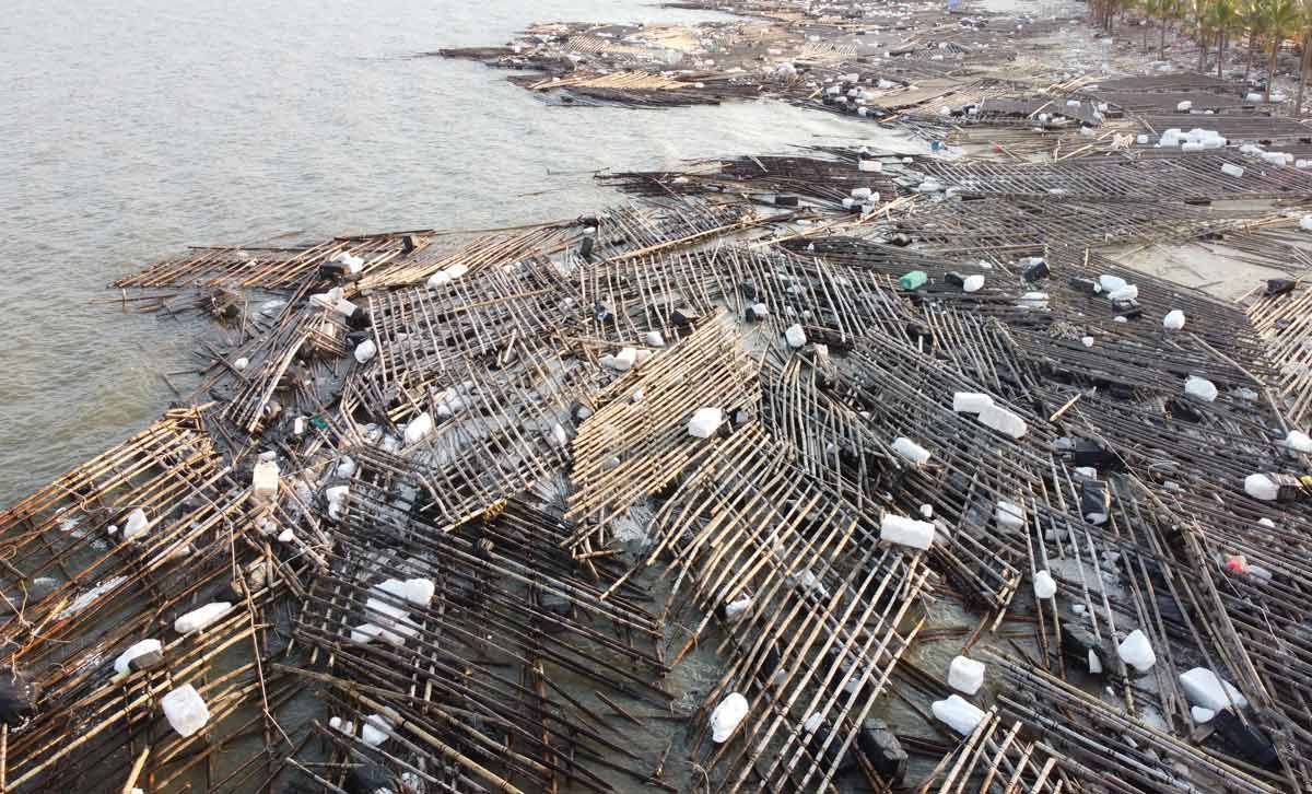 Aquaculture rafts drift after storm Yagi at Tuan Chau beach, Ha Long city, Quang Ninh province. Photo: Doan Hung