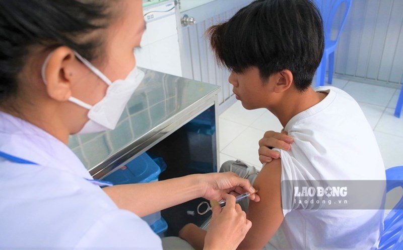 A case of rabies vaccination after being bitten by a dog or cat. Illustration: Phong Linh