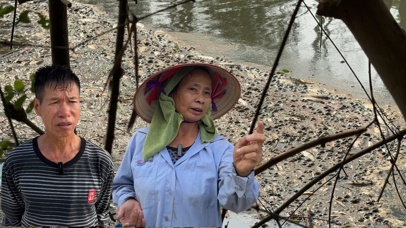 The cause of fish deaths has not been found, there is a risk of water pollution. Photo: Hoang Loc