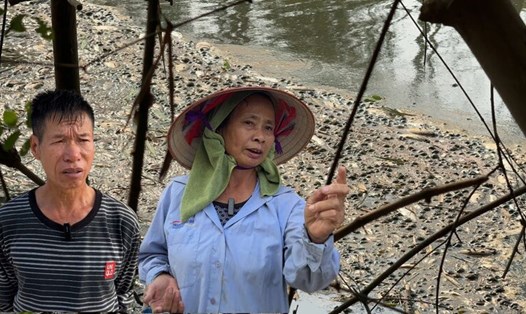 Chưa tìm ra nguyên nhân cá chết, nguy cơ ô nhiễm nguồn nước. Ảnh: Hoàng Lộc