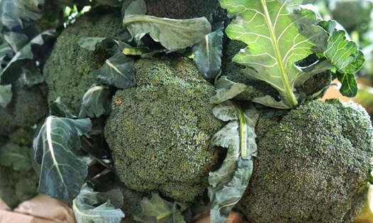 Bông cải xanh giàu canxi, tốt cho xương, răng và cơ bắp. Ảnh: Thanh Thanh