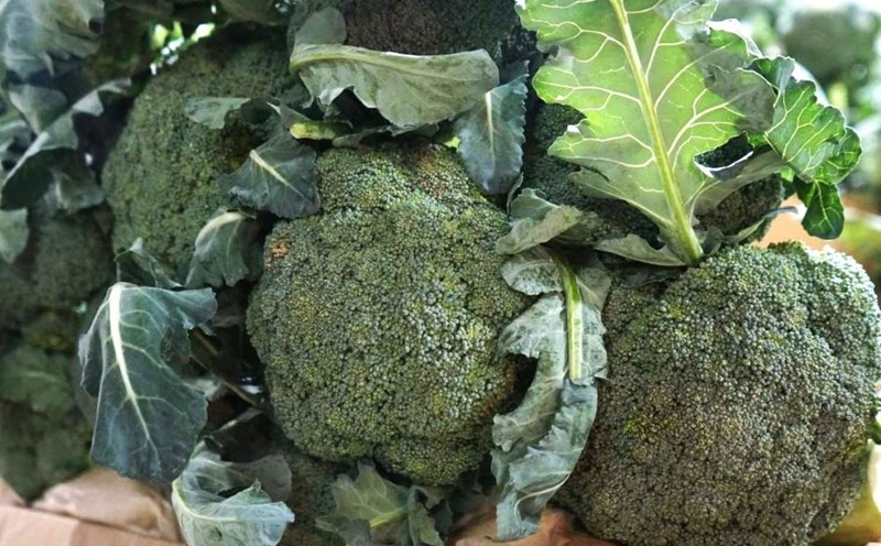 Broccoli is rich in calcium, good for bones, teeth and muscles. Photo: Thanh Thanh