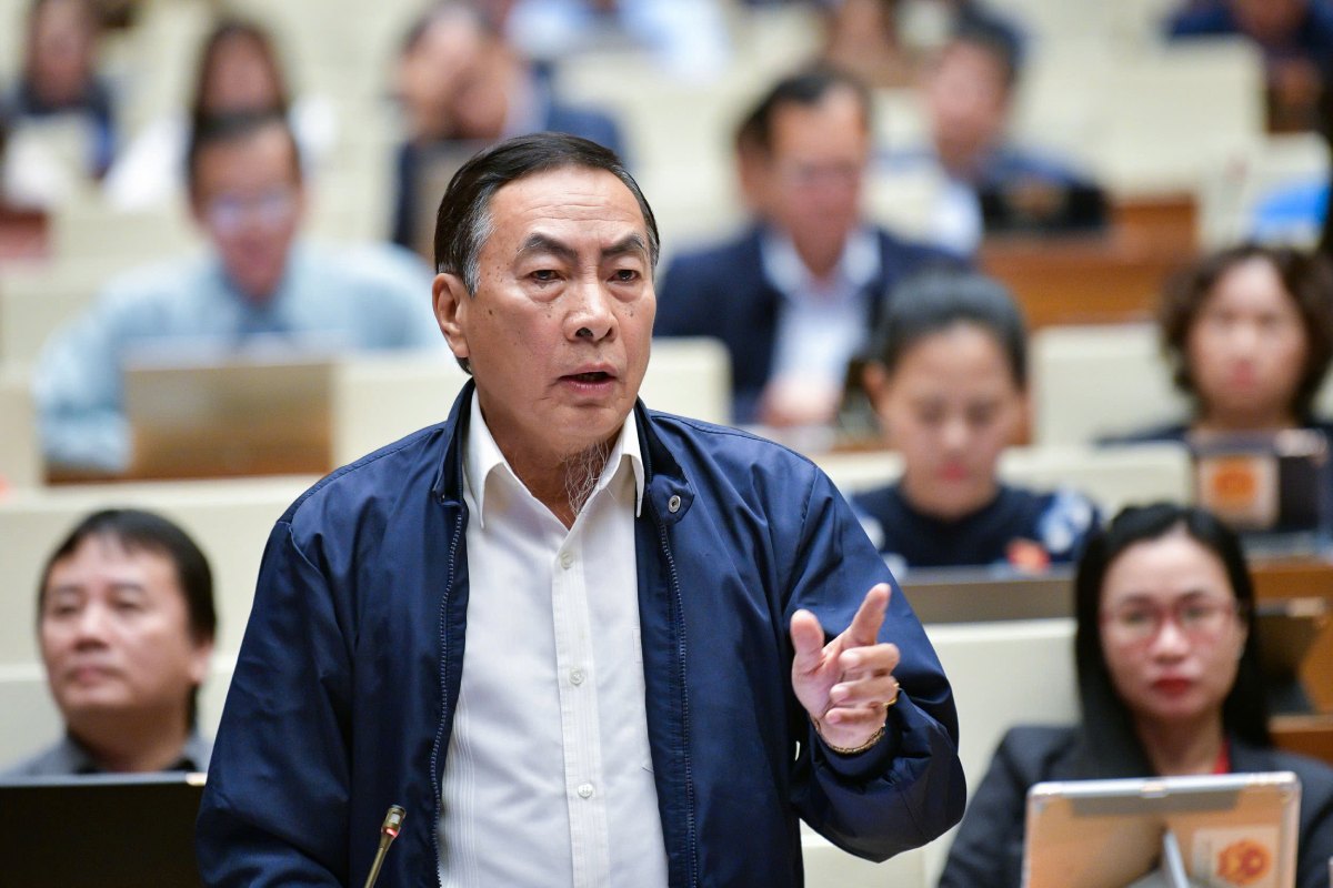 Delegate Pham Van Hoa said that sugar is not at fault to require special consumption tax. Photo: Pham Dong