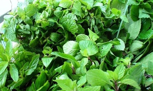 8 loại rau gia vị có trong bữa ăn hàng ngày giàu canxi