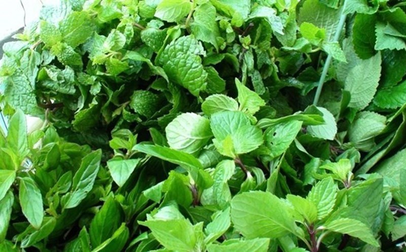 8 types of spices in daily meals rich in calcium