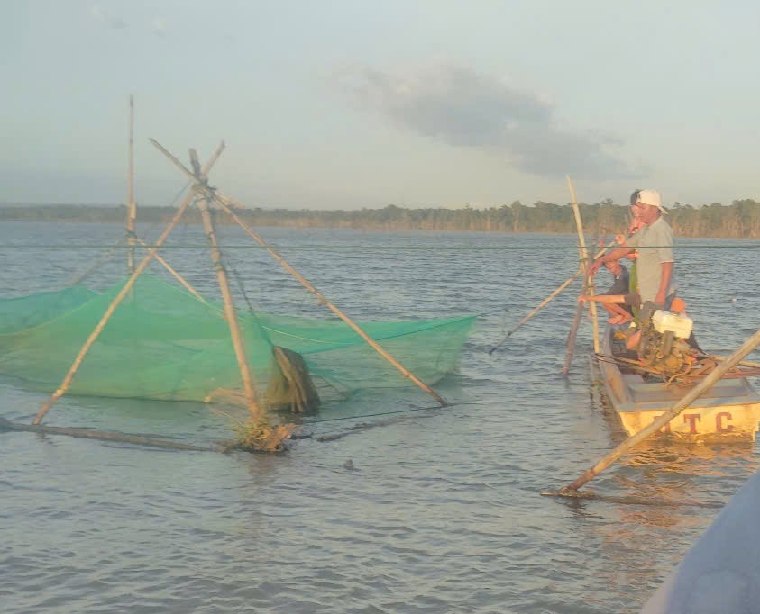 Vi tri nhom doi tuong thuc hien hanh vi quay pha, cat ngu luoi cu. Anh: Thanh Tuan  