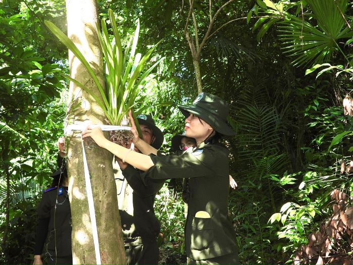 Gen Z woman has a love for forest conservation for elephants. Photo: Thuy Trang