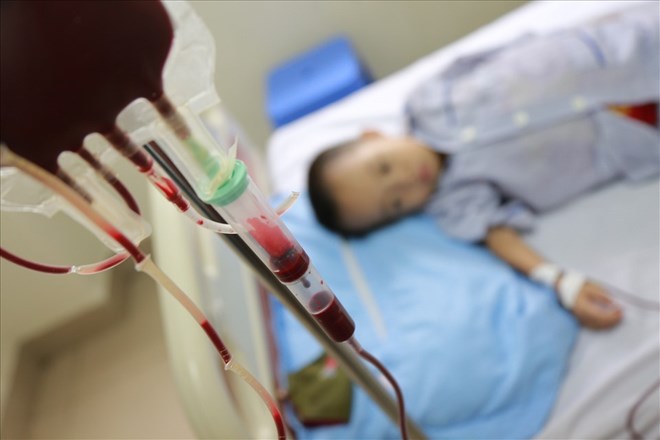The latest techniques for treating blood diseases will be focused on application in Vietnam. Illustration photo: Cong Thang