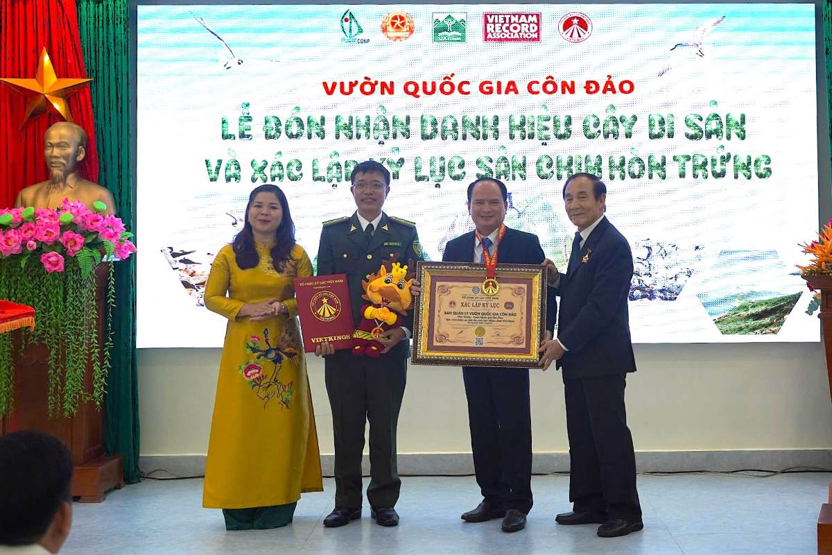 Vườn Quốc gia Côn Đảo nhận xác lập kỷ lục quốc gia của sân chim biển Hòn Trứng. Ảnh: VQGCĐ