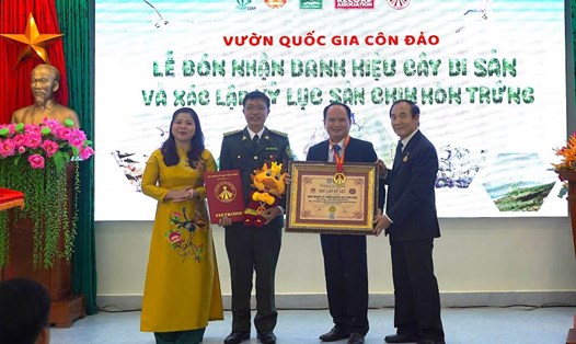Vườn Quốc gia Côn Đảo nhận xác lập kỷ lục quốc gia của sân chim biển Hòn Trứng. Ảnh: VQGCĐ