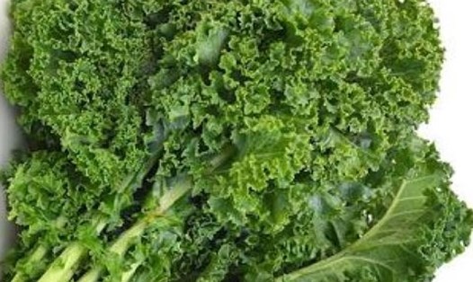 Rau cải xoăn là một trong những lựa chọn cho bữa sáng để hỗ trợ bổ sung canxi. Ảnh: Kiều Vũ