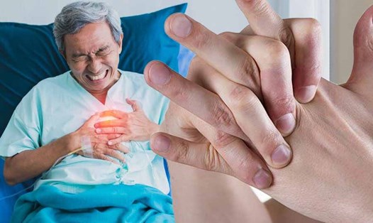 Mối liên hệ giữa bệnh đa xơ cứng và bệnh tim mạch. Đồ hoạ: Thiện Nhân