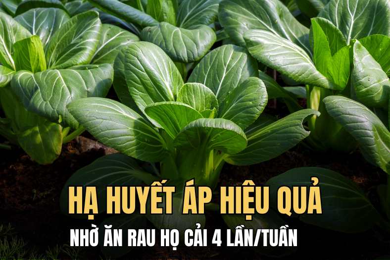 Regularly eating cruciferous vegetables can help maintain stable blood pressure levels. Graphics: Hai Ly