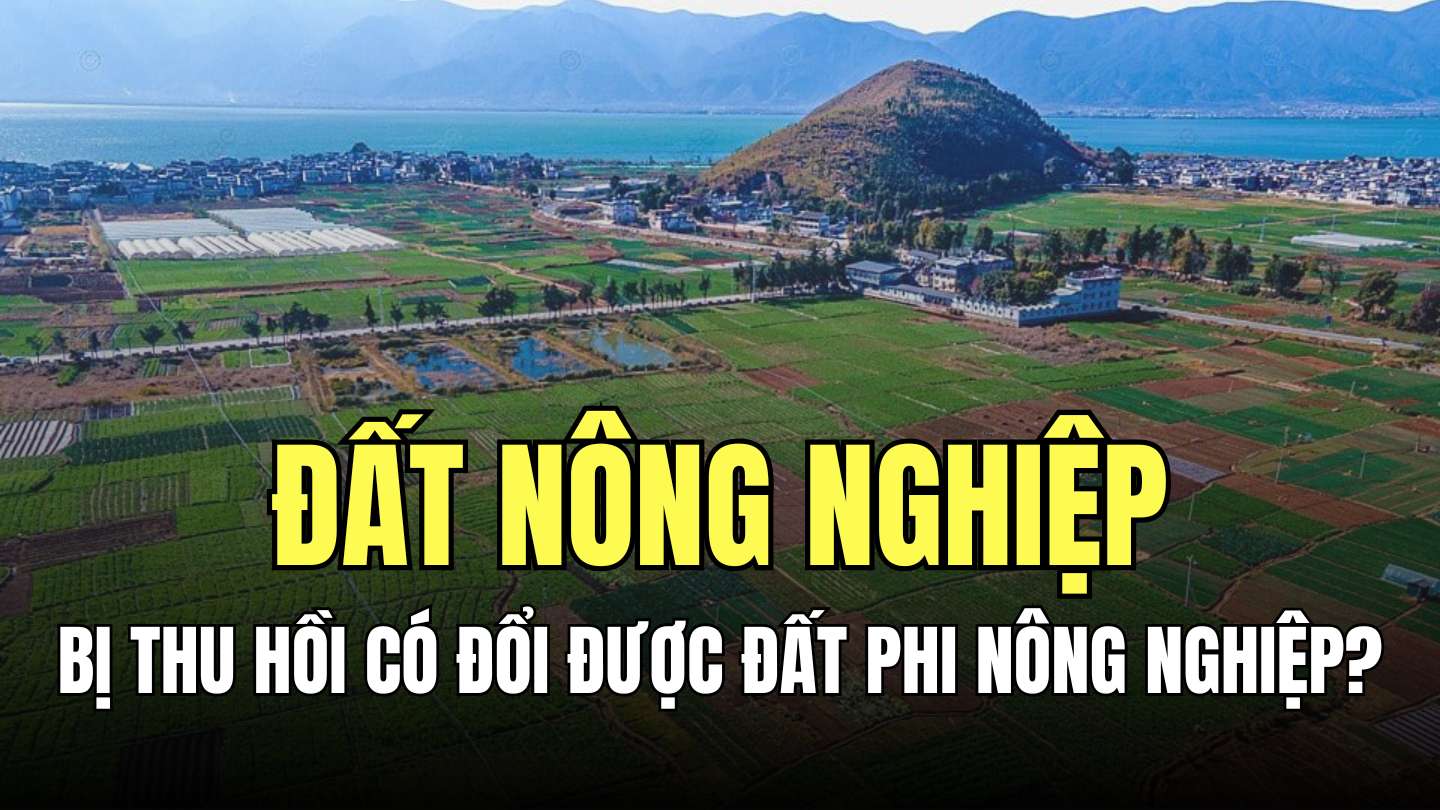 Căn cứ vào mục đích sử dụng, đất đai được chia làm các nhóm đất nông nghiệp, nhóm đất phi nông nghiệp và nhóm đất chưa sử dụng. Đồ họa: Minh Thương
