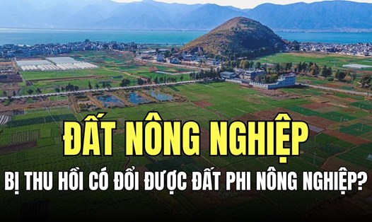 Căn cứ vào mục đích sử dụng, đất đai được chia làm các nhóm đất nông nghiệp, nhóm đất phi nông nghiệp và nhóm đất chưa sử dụng. Đồ họa: Minh Thương