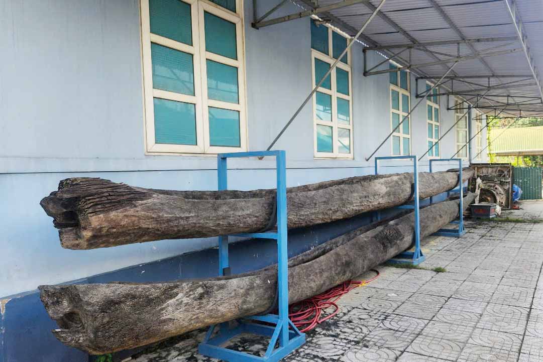 Due to lack of space for display and preservation, the pair of dugout canoes are currently kept in the yard of Ha Tinh Provincial Library. Photo: Tran Tuan.