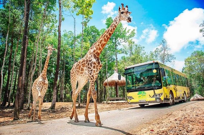 Nam trong rung nguyen sinh giua Bac dao Phu Quoc, vuon thu hoi tu day du cac dieu kien tu nhien, moi truong song, co so vat chat va doi ngu chuyen gia de bao dam cac loai thu hoang da co the bao ton, sinh san nhan giong, tao dan va duy tri nhieu nhat cac tap tinh tu nhien.