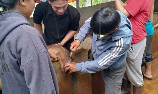 Huyện Tuy Đức (Đắk Nông) đạt nhiều thành tựu, tạo nền tảng cho sự phát triển bền vững. Ảnh: Đình Quang