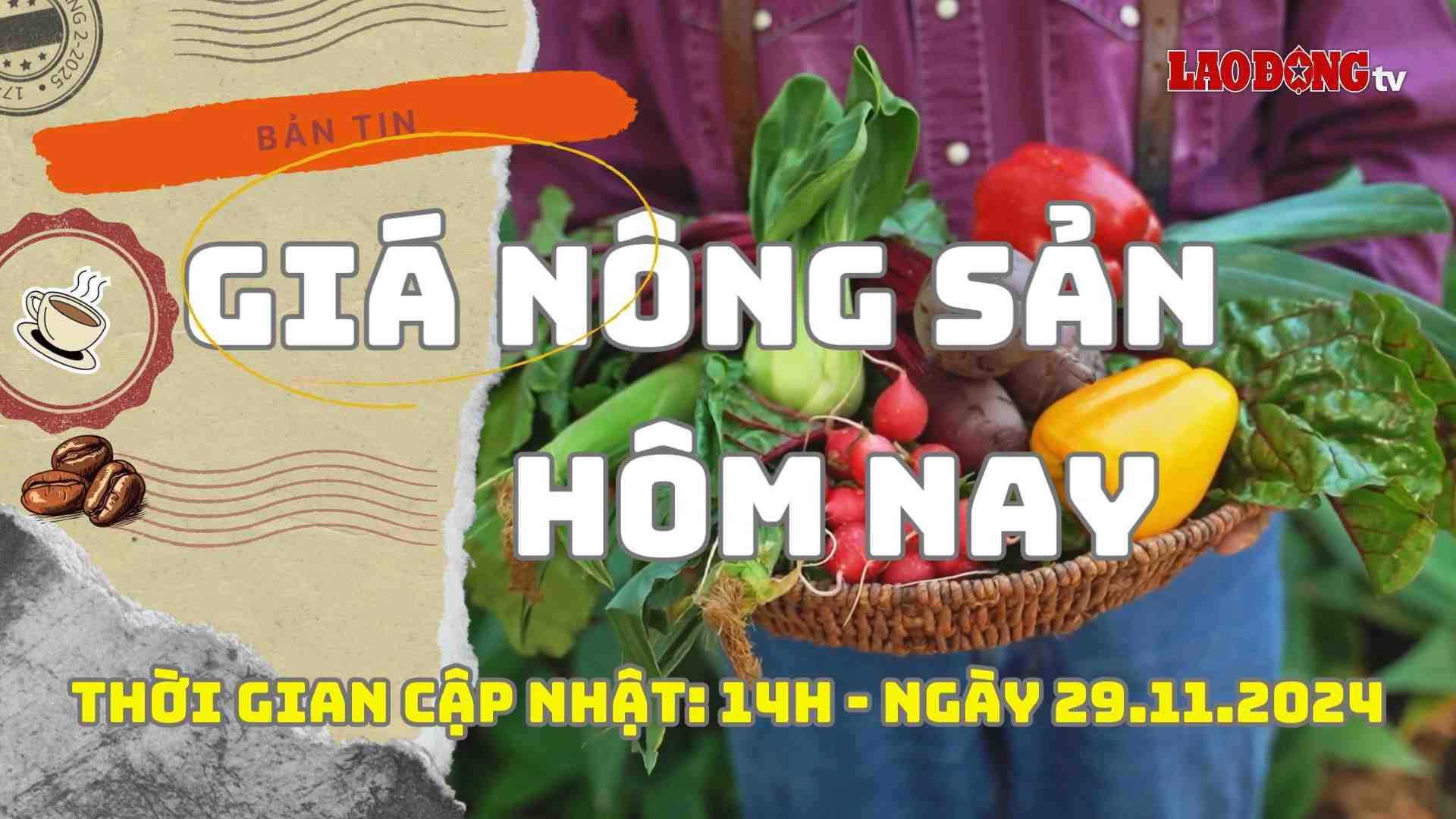 Agricultural product prices today, November 29, 2024. Photo: Lam Hong