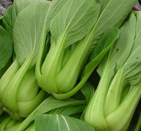 This vegetable is rich in calcium and can help reduce cholesterol, making it a favorite of many people. Photo: Kieu Vu