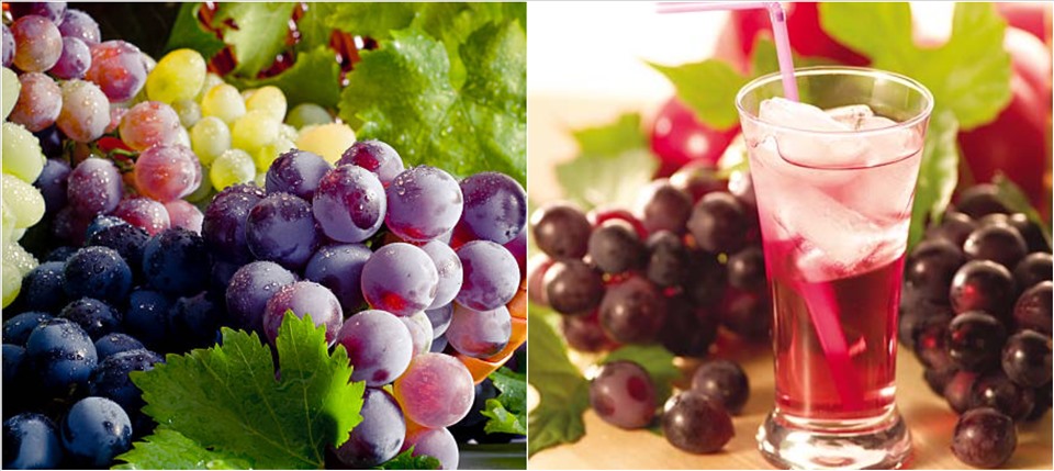 Eating grapes does not increase blood sugar. Graphics: Ngoc Thuong.