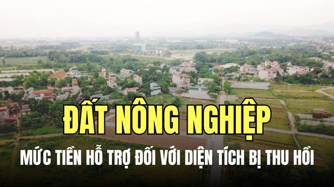 Mức tiền hỗ trợ đền bù đất nông nghiệp bị thu hồi 2025