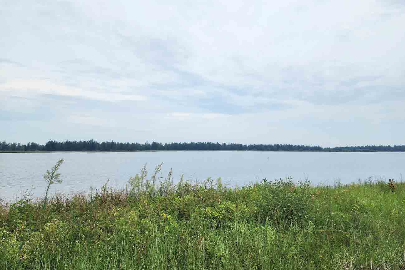 The land of the Xuan Hoi Marine Ecotourism Project, which is slow to be implemented, has just been ordered by the People's Committee of Ha Tinh province to be comprehensively inspected. Photo: Tran Tuan.