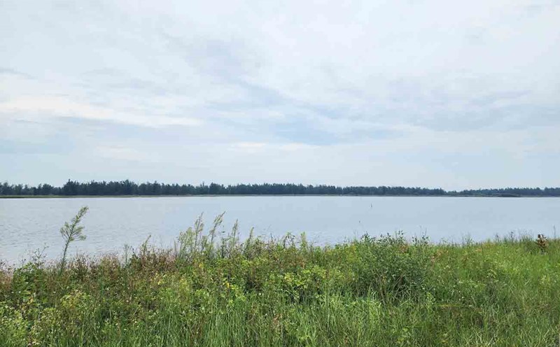 The land of the Xuan Hoi Marine Ecotourism Project, which is slow to be implemented, has just been ordered by the People's Committee of Ha Tinh province to be comprehensively inspected. Photo: Tran Tuan.