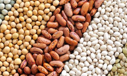 Chế độ ăn có sử dụng ngũ cốc nguyên hạt sẽ hỗ trợ giảm thiểu tích tụ mỡ nội tạng. Ảnh: Nghĩa Thanh