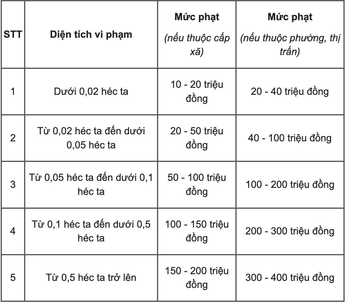 Muc phat ve viec xay nha tam tren dat trong cay lau nam. Anh: Phong Anh