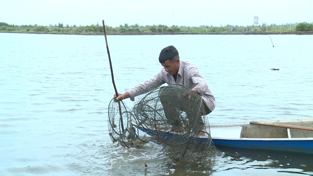 Mr. Danh Kha is an example of a Khmer farmer who is good at business. Photo: Xuan Nhi