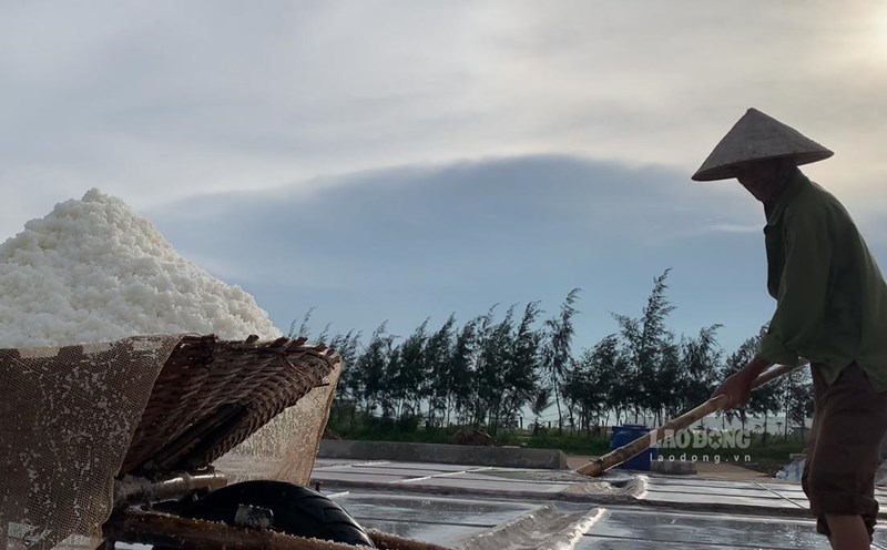 Salt workers working on Bach Long salt fields. Photo: Luong Ha