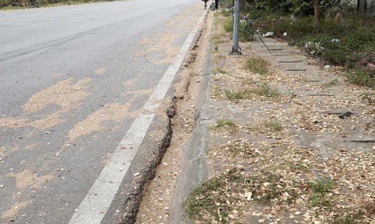 Dăm gỗ rơi vãi dọc tuyến đường từ cầu Tình Yêu đến cảng Cái Lân, TP Hạ Long, tỉnh Quảng Ninh. Ảnh: Đoàn Hưng