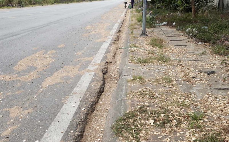 Wood chips scattered along the road from Love Bridge to Cai Lan Port, Ha Long City, Quang Ninh Province. Photo: Doan Hung