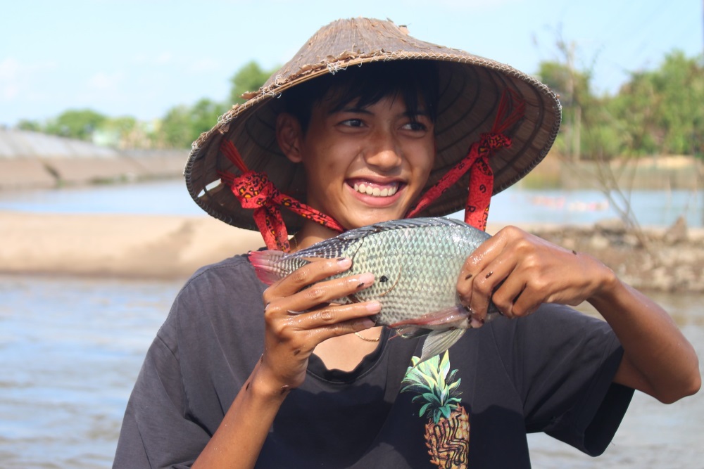 Watching farmers in the West harvest their crops during the flood season is a delight