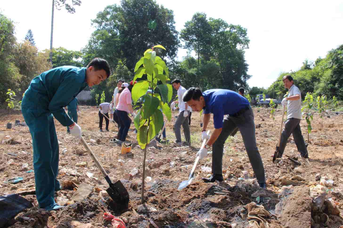 Thanh pho Thu Dau Mot chu trong phat trien cay xanh. Anh: Duong Binh