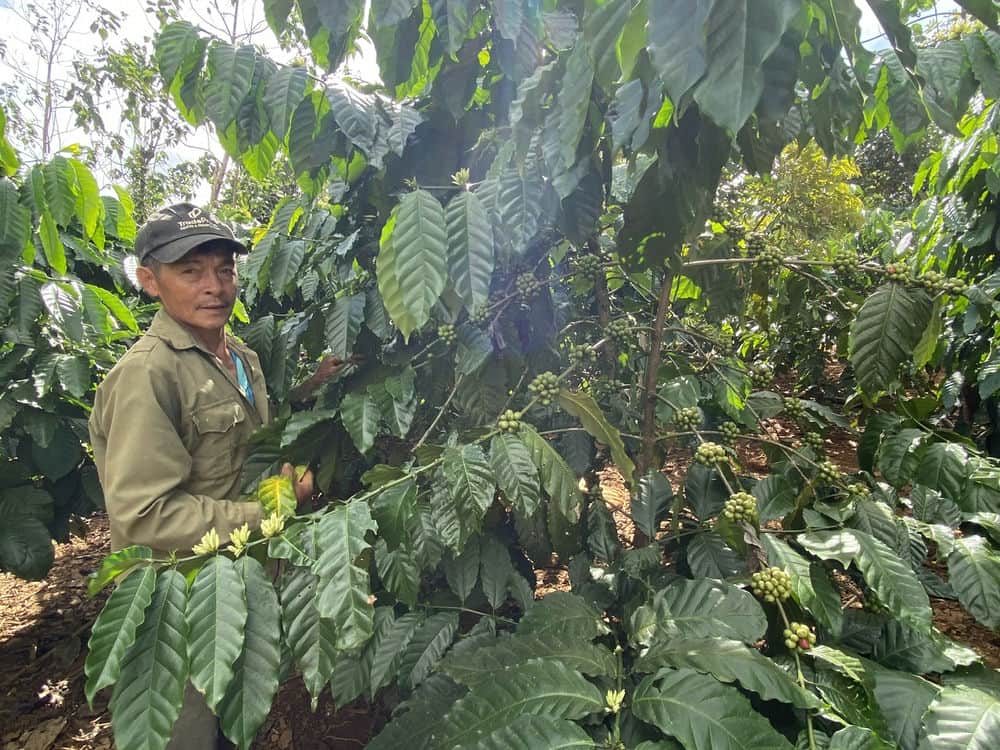 Poor households in Dak Nia commune are excited to receive support from the State for breeding cows. Photo: Tra My.