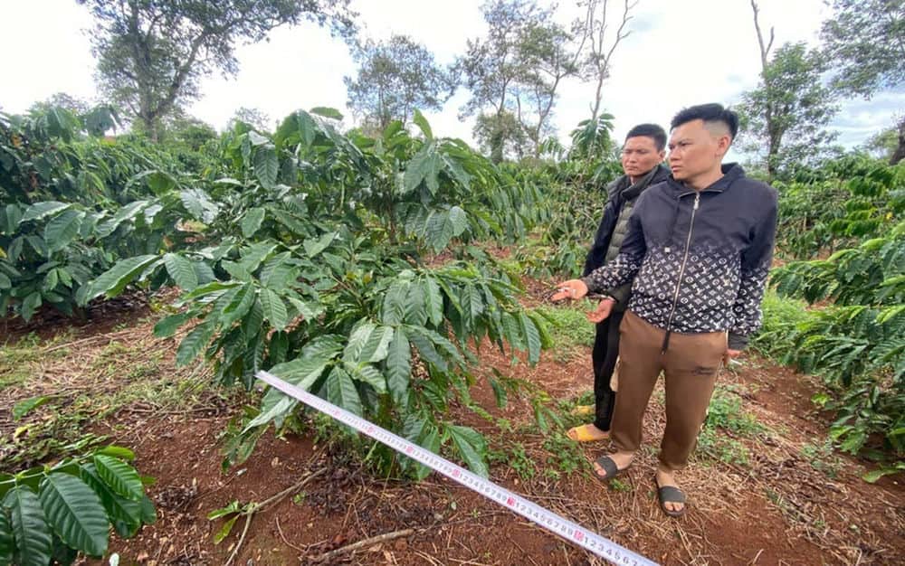 2 anh em Đức, Hiệp tại hiện trường vụ trộm cà phê. Ảnh: Công an Đak Đoa 