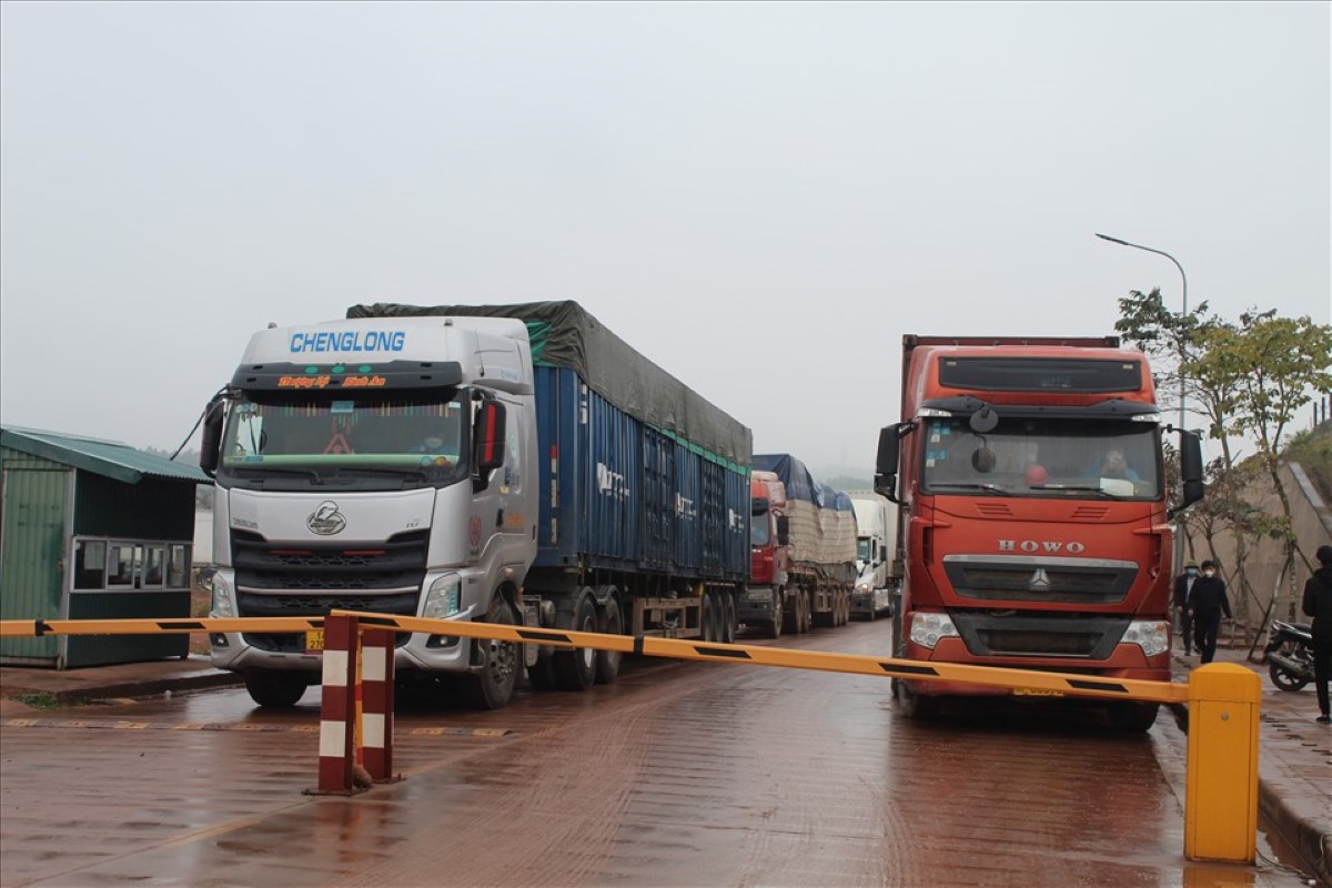 Trucks waiting to export goods to China at the pontoon bridge opening at km 3+4, Hai Yen, Mong Cai. Photo: Nguyen Hung