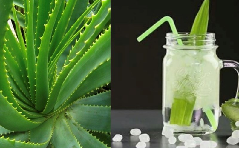 How to make aloe vera juice to lose weight for women. Graphics: Huong Giang