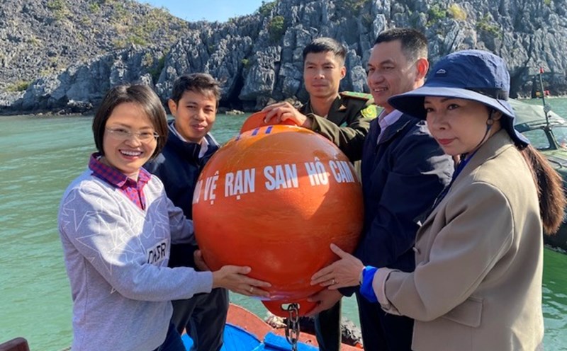 Releasing buoys to protect corals at Cat Ba National Park. Photo: Provided by IUCN