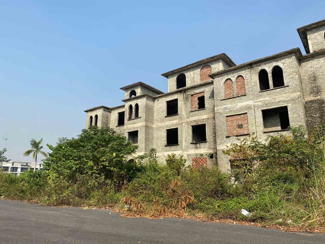 Biệt thự hoá "rừng" trong khu đô thị 2.600 tỉ ở Hà Nội